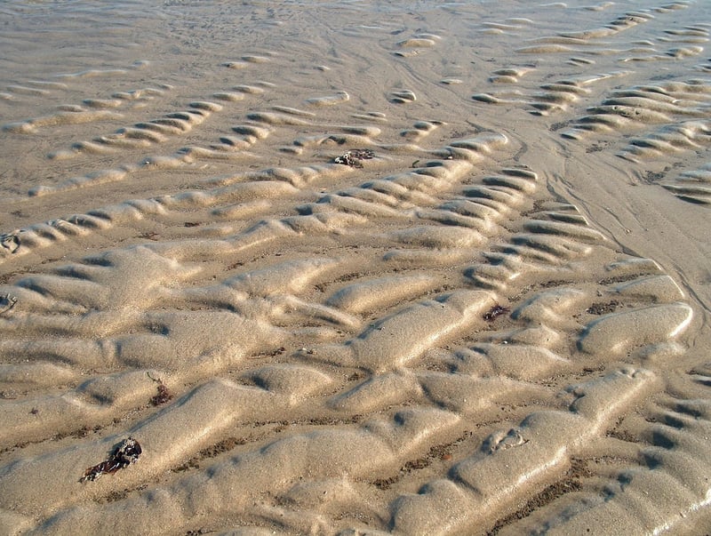 Nature-Inspired Patterns